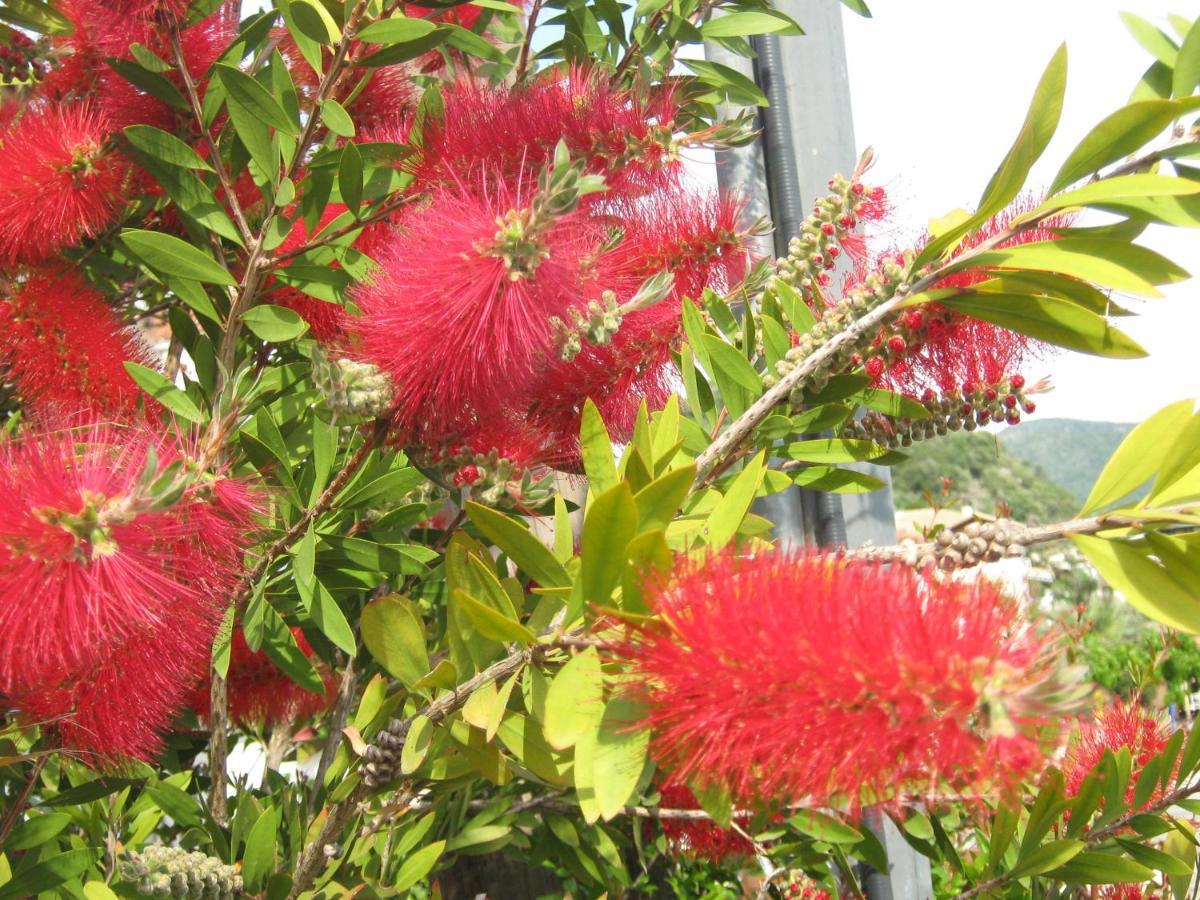 Gialova Garden Bungalow ภายนอก รูปภาพ